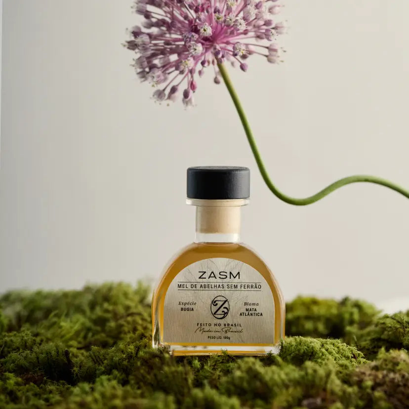 MEL DE BUGIA DA MATA ATLÂNTICA